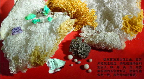 大成就者：禄东赞法王-图片4