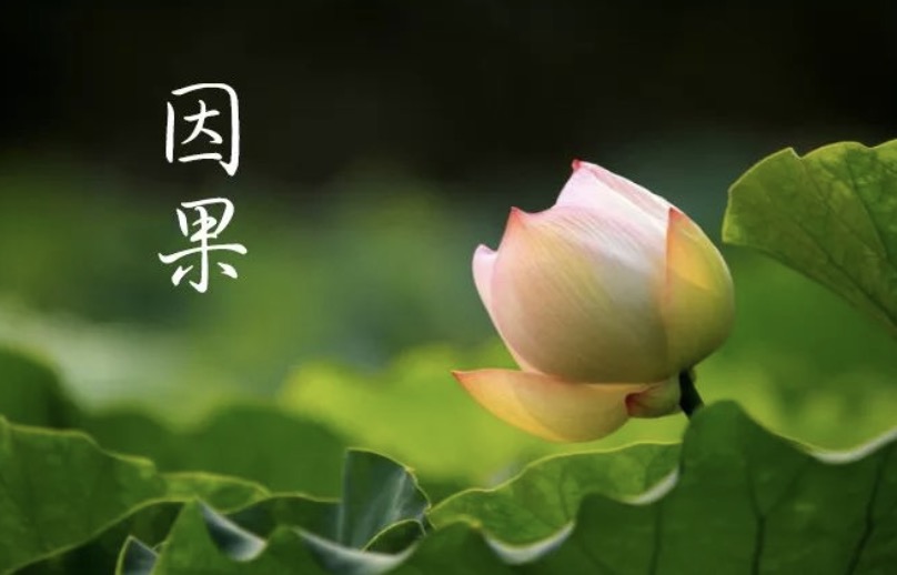 透过释永信看当今社会佛教界乱象 ，如何辨别正邪寺院?