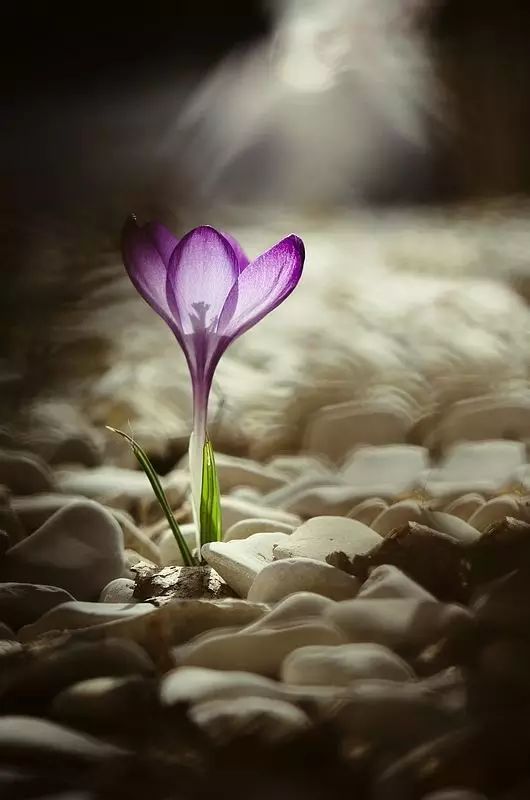 真信因果了吗？在生活中检验-图片1