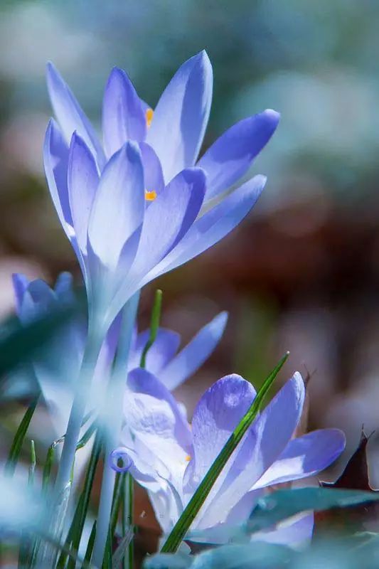 真信因果了吗？在生活中检验-图片2