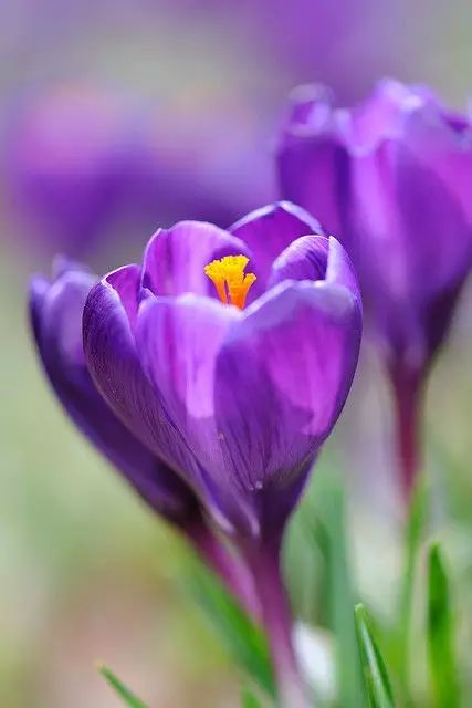 真信因果了吗？在生活中检验-图片3