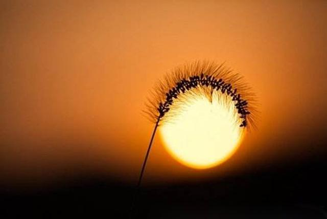 说别人可怜时，想到自己可怜了吗？-图片1