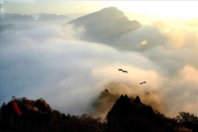 修行人陷于“婆媳恶战”，躲不开避不了时，怎么办？ 媳妇眼中的“恶婆婆”，一把辛酸泪有谁知-图片3