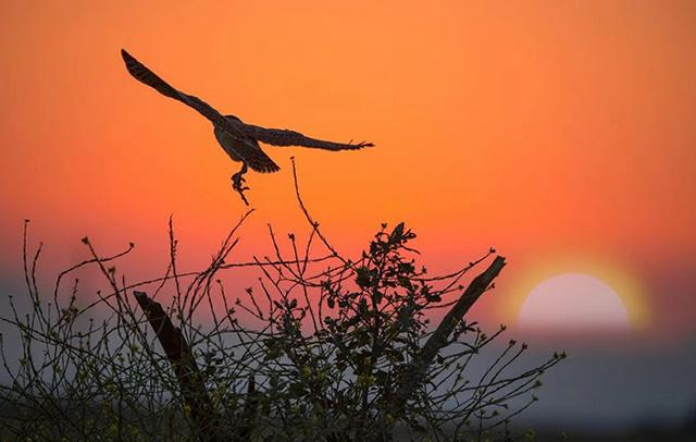 原生家庭的痛，她依靠学佛 “治愈”了-图片2