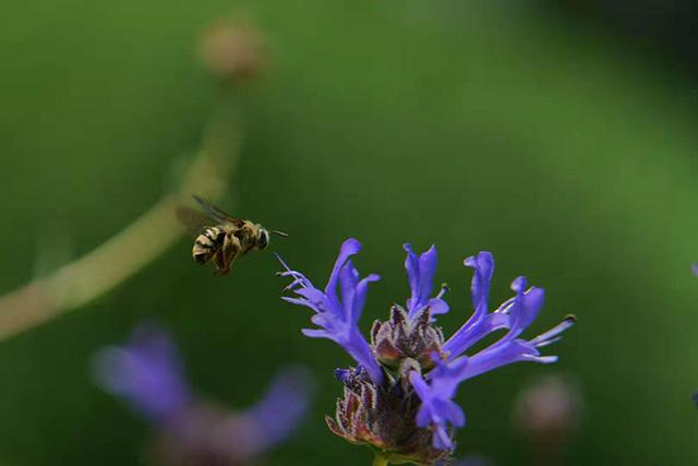 原生家庭的痛，她依靠学佛 “治愈”了-图片4
