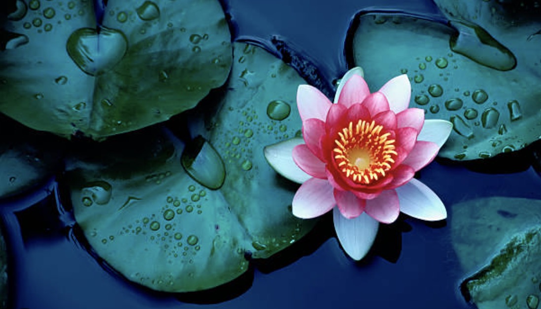 别让唬人的名号蒙住了我们的眼