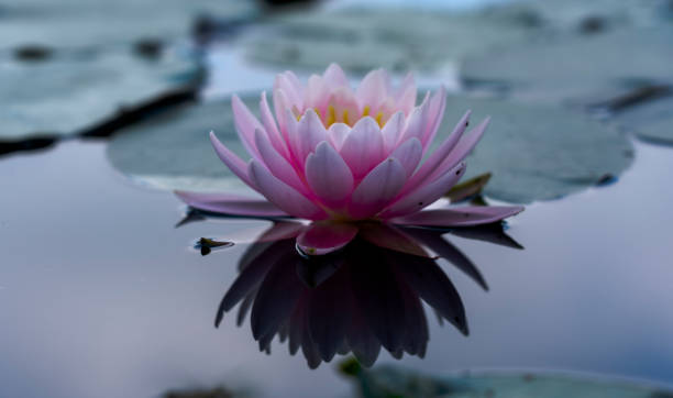 别让太岁吓住你 