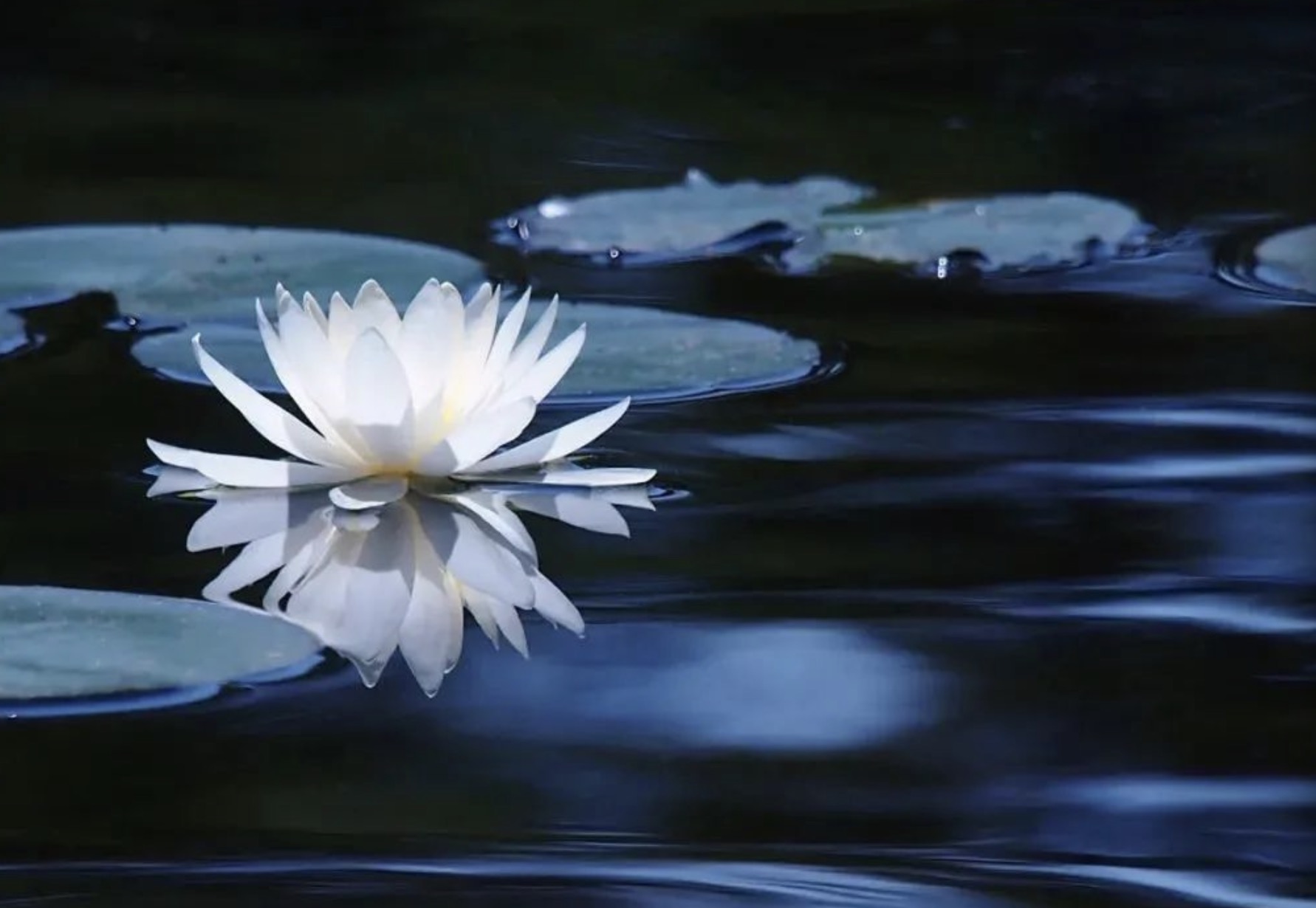 警惕有人把地狱之门描绘成天堂模样